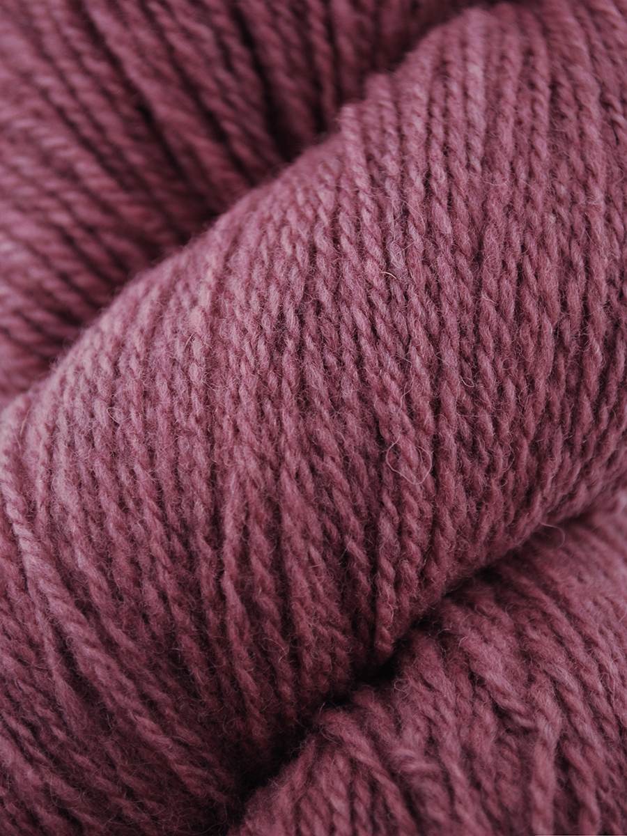 Patagonia Organic Merino