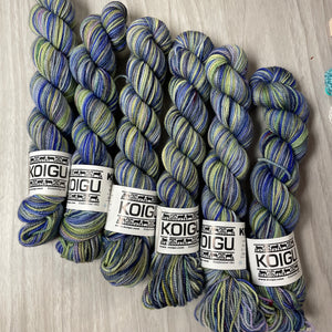 Toronto Neighbourhoods KPPPM - Exclusive to Passionknit